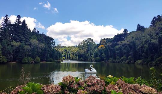 Pacote Gramado - Imagem 2